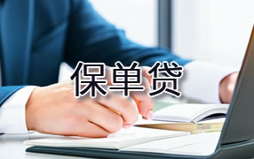 资阳保单贷