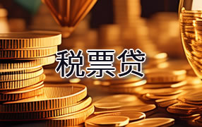 资阳税票贷